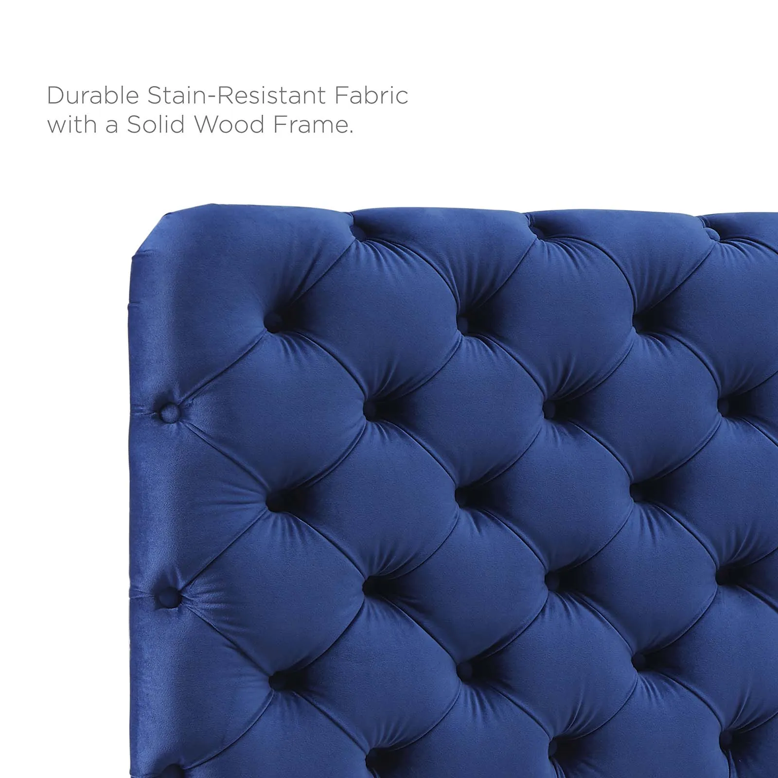 Lizzy Tufted Performance Velvet Headboard