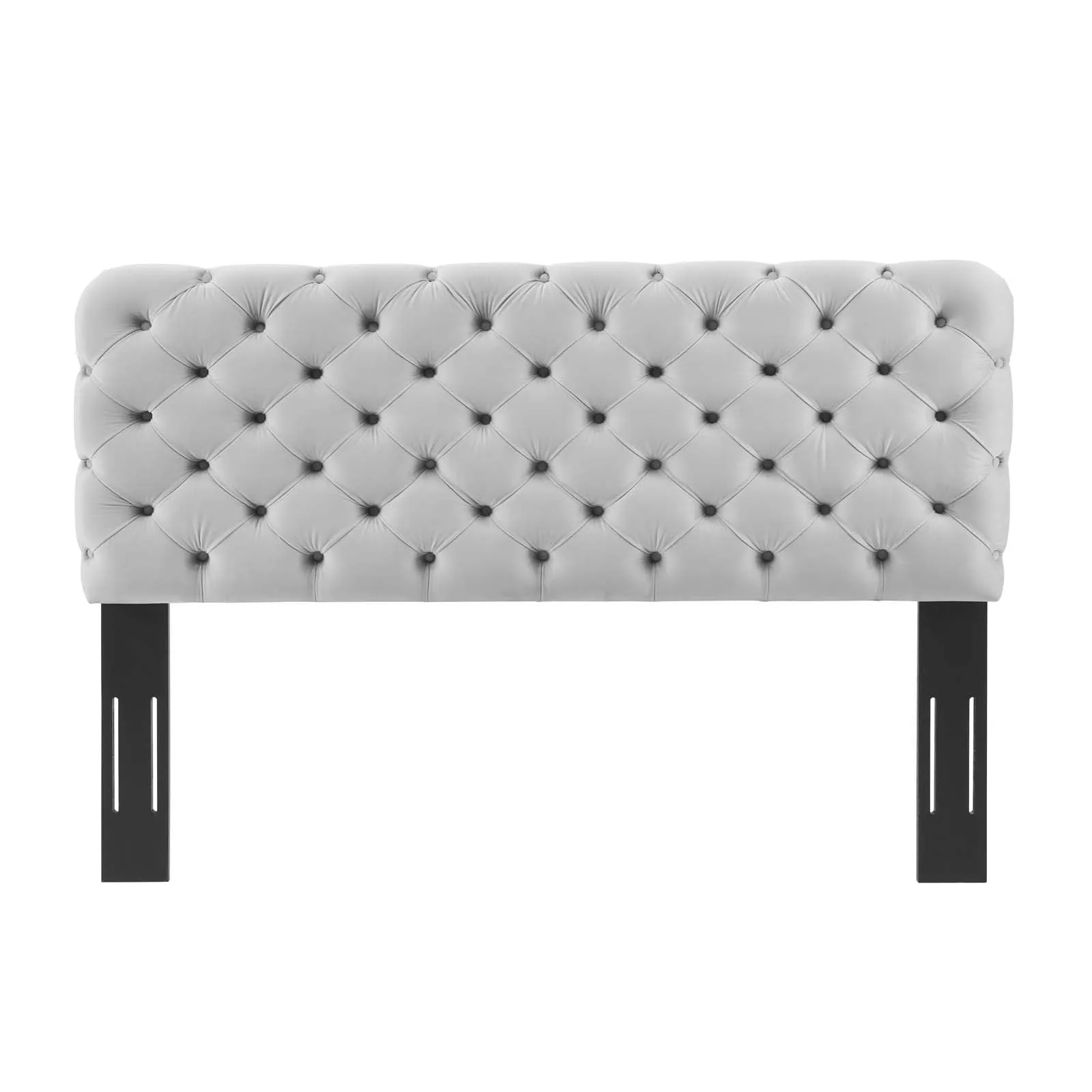 Lizzy Tufted Performance Velvet Headboard